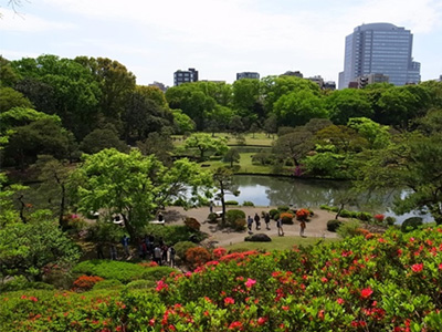 六義園に行ってきました!
