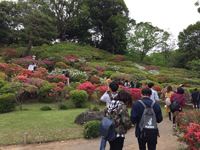 六義園に行ってきました!